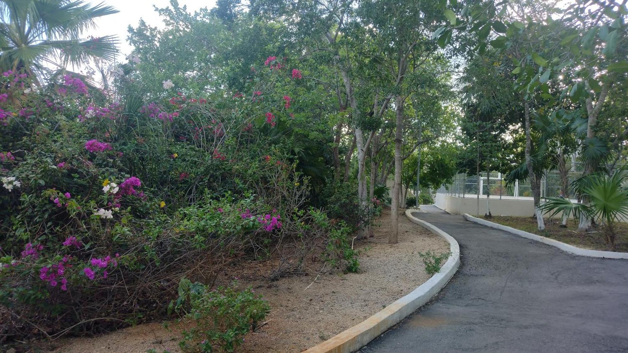 Breezy & Cancunian Villa Exterior foto